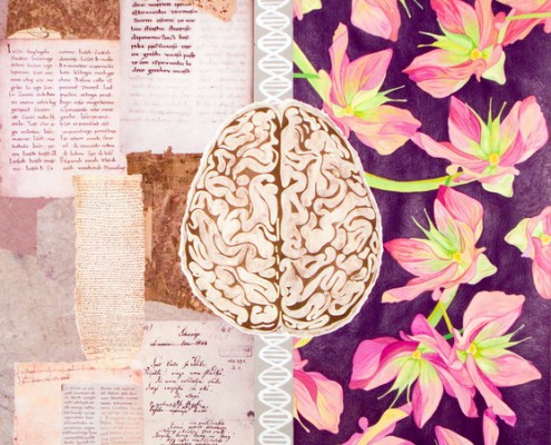 Jasna Merkù, Oltrezid - 2011